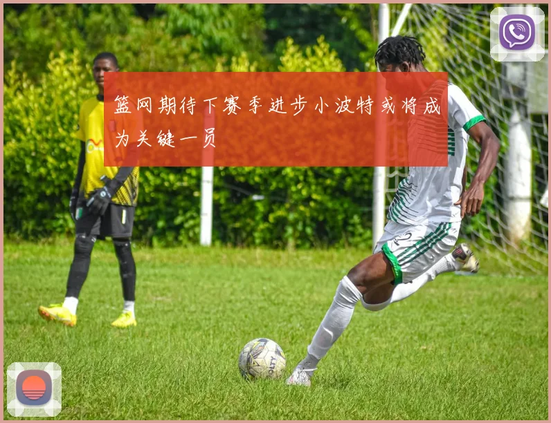 篮网期待下赛季进步小波特或将成为关键一员