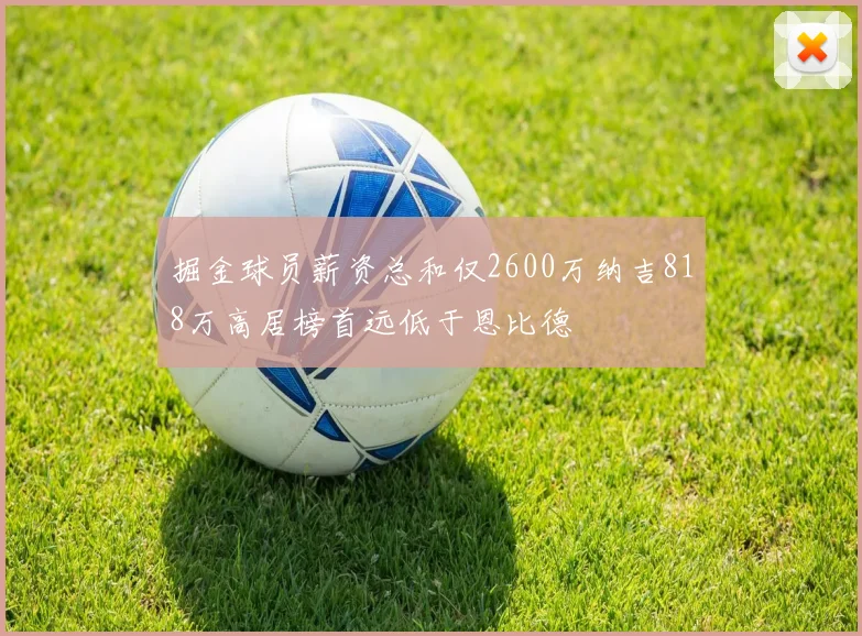 掘金球员薪资总和仅2600万纳吉818万高居榜首远低于恩比德