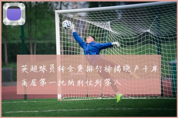 英超球员转会费排行榜揭晓卢卡库高居第一托纳利位列第八